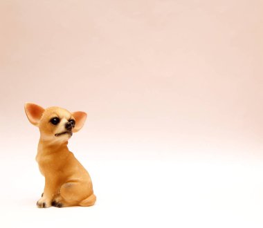 Beyaz bir arka plan üzerinde köpek