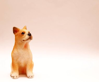 Beyaz bir arka plan üzerinde köpek