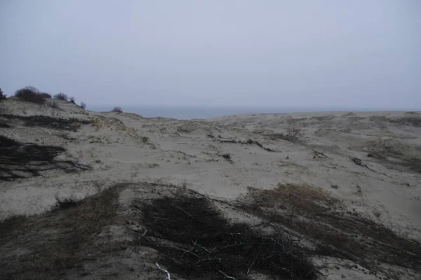 Baltic Sea Winter February — Stock Photo, Image