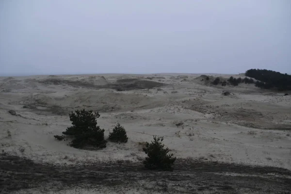 Baltic Sea Winter February — Stock Photo, Image