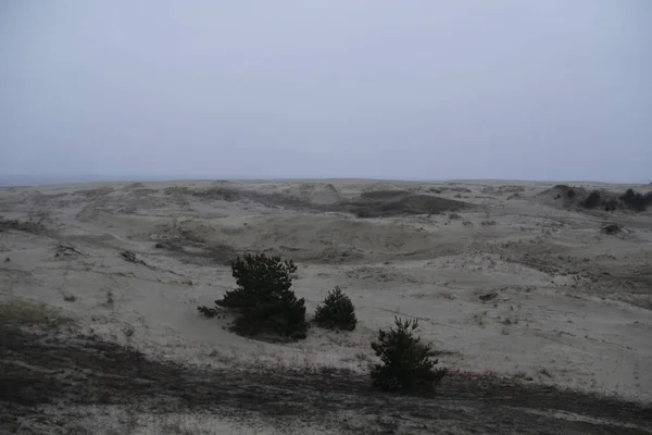 Morze Bałtyckie Zimą Lutym — Zdjęcie stockowe