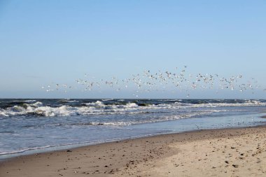 Şubat ayında kışın Baltık Denizi