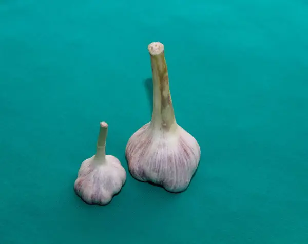 Few Pieces Garlic Table — Stock Photo, Image