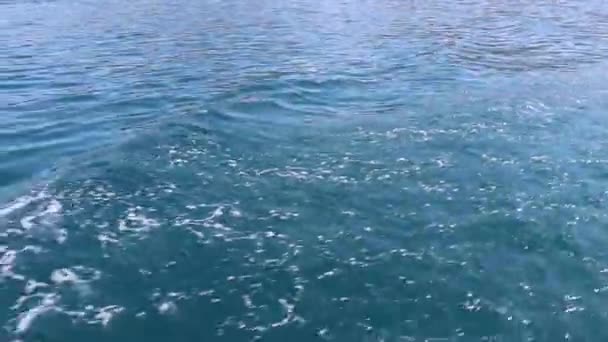 Bleu scintillant de l'océan 