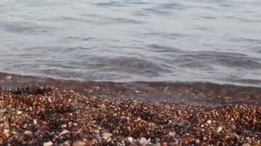 Güneşli bir yaz gününde kumsaldaki dalgaların ritmi. En saf şeffaf su..