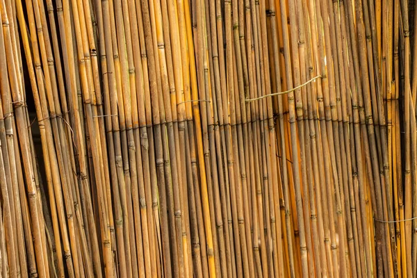 Reed background Wallpaper with the texture of tree bark bamboo