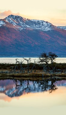 Patagonya sonbaharda. Tierra del Fuego, Beagle kanalı
