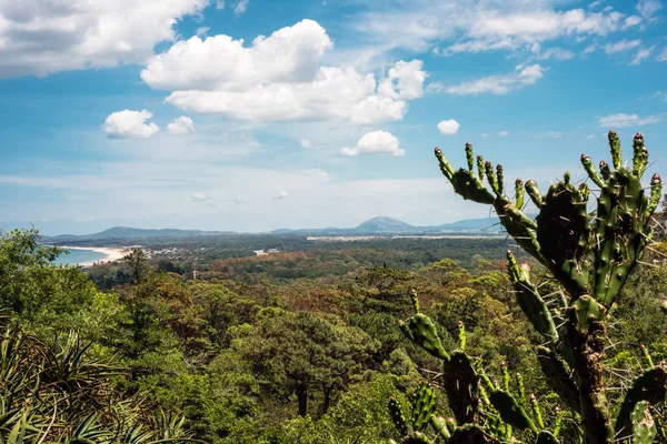 Famoso parco botanico Arboretum Lussich e la spiaggia di Solana in — Foto Stock