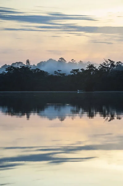Ранним утром в тропических лесах Амазонки. Куябено — стоковое фото