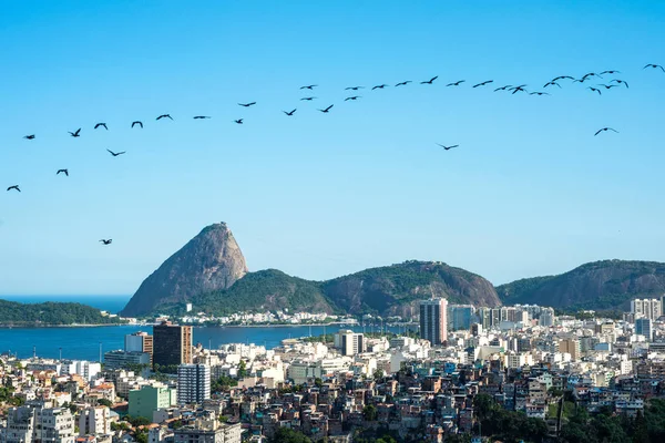 Río de Janeiro, Montaña Sugarloaf — Foto de Stock