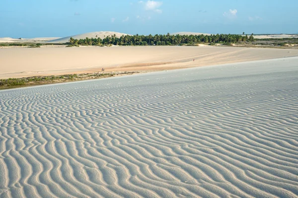 Закат дюны в Джерикоакоаре, штат Сеара, Бразилия — стоковое фото