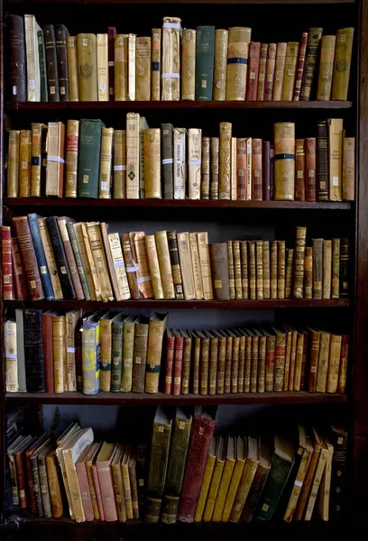 Ricoleta бібліотека є найстарішим бібліотеки в Перу і Латинської Америки — стокове фото