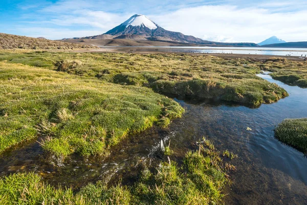A hófödte Parinacota vulkán több, mint a tó Chungara, Chile — Stock Fotó