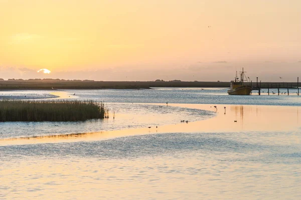 San Climente national sea reserve, Buenos-Aires state, Argentina — Stock Photo, Image