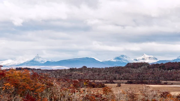 Herfst in Patagonië. Cordillera darwin — Stockfoto