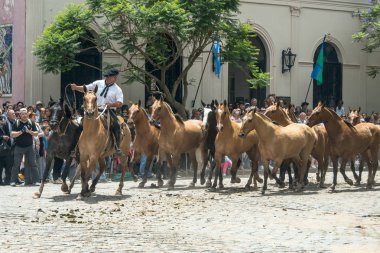 Gaucho at sürüsü şehir merkezinden sürücüler. 