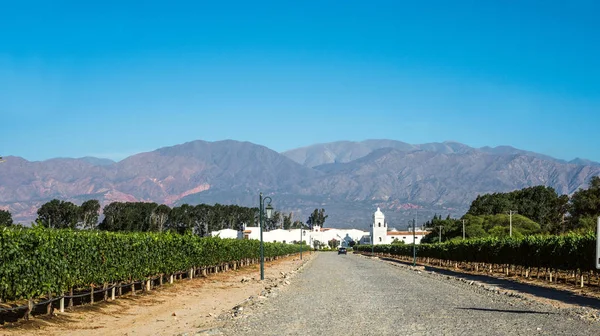 Agronegócio em Cafayate, Argentina — Fotografia de Stock