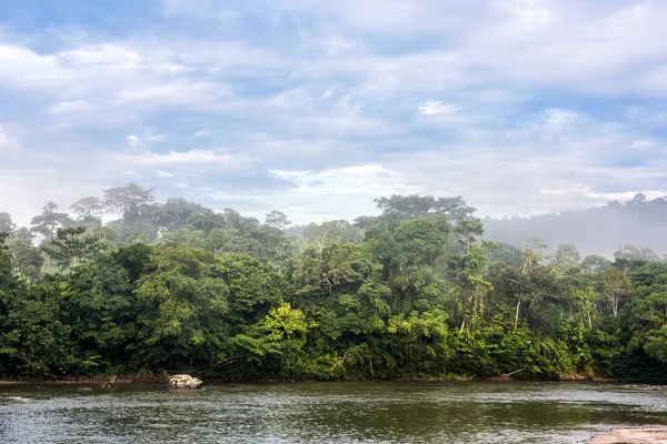 Selva amazónica. Río Misahualli. Provincia de Napo, Ecuador —  Fotos de Stock