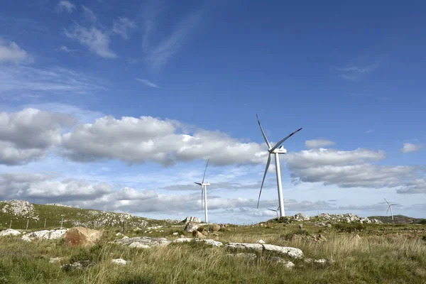 Molinos de viento en la Sierra Carape en Uruguay —  Fotos de Stock