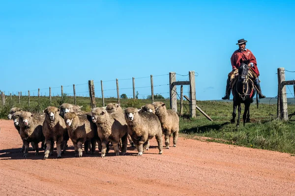 Gaucho από το Kuchilla del Ombu, Tacuarembo, Ουρουγουάη — Φωτογραφία Αρχείου