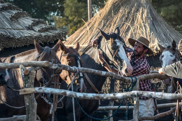 Gaúcho cuida de seu cavalo no campo — Fotografia de Stock