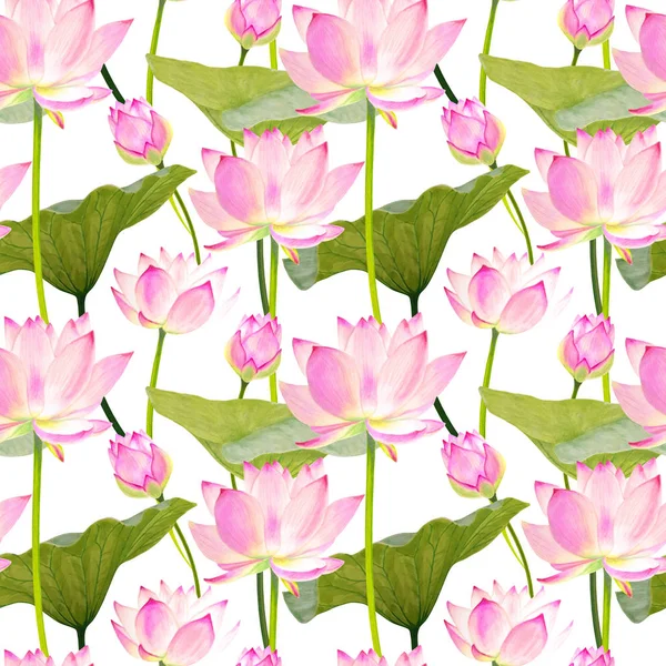 Patrón sin costura flor de loto marcador dibujado — Foto de Stock