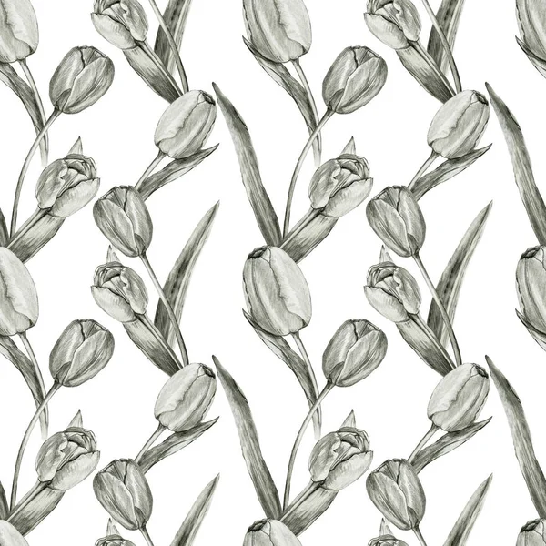 Padrão sem costura lápis desenhado tulipas — Fotografia de Stock