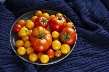 Koyu mavi arka planda bir tabakta taze domates. Domates hasadı. Üst Manzara. Kiraz domatesleri farklı tabaklarda, farklı renklerde domatesler, türler ve boyutlardadır..