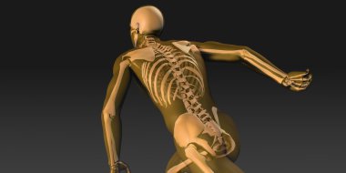 Araştırma ve bilim vücut geliştirme