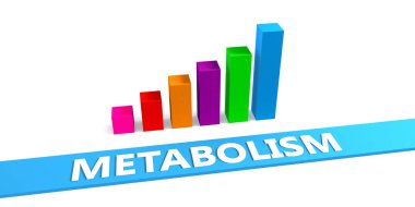 Büyük metabolizma soyut