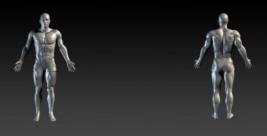 İnsan Vücut Sunum Arkaplanı