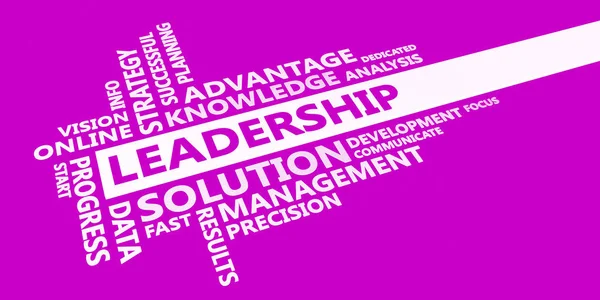 Leadership Business Idea — Stock Photo, Image