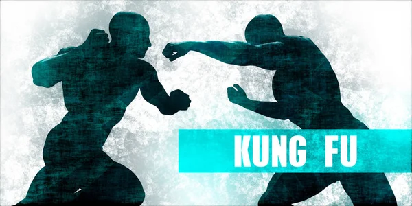 Arte Concepto Kung fu — Foto de Stock