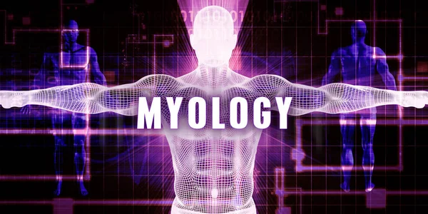 Myology концепт-арт — стокове фото