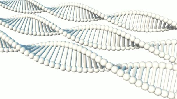 Wissenschaft molekulare DNA-Struktur als Konzept — Stockvideo