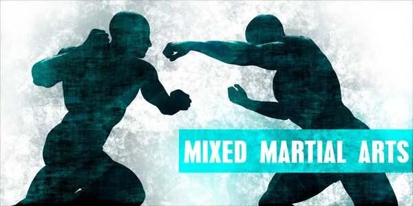 Artes marciales mixtas — Foto de Stock