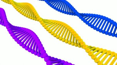 DNA Protein Sanatının Genetik Kod Dizisi