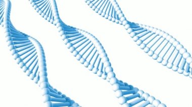 DNA Protein Sanatının Genetik Kod Dizisi