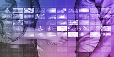 entegre yönetim sistemi