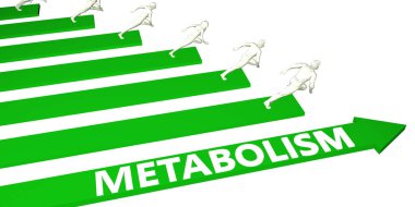 Metabolizma danışmanlık