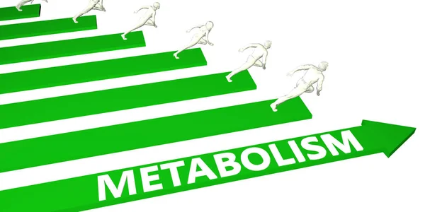 Metabolism Consulting — Stock Photo, Image