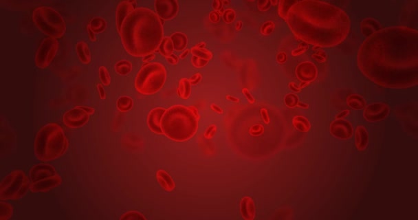 Análisis de sangre o análisis de laboratorio de análisis de sangre — Vídeo de stock