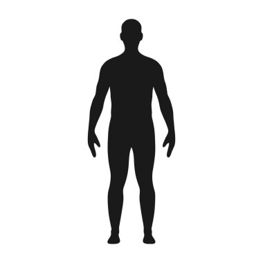 Erkek silueti. Erkek vücut siluetinin bir tasviri. Vektör.