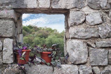 Saksıyı açık bir pencere üzerinde