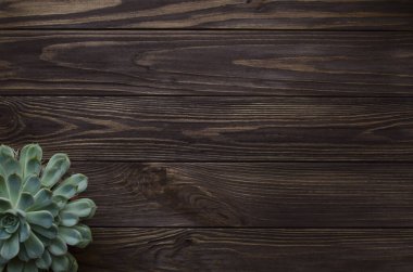 Ahşap arka planda sulu bir şey. Doğal kahverengi ahşap.