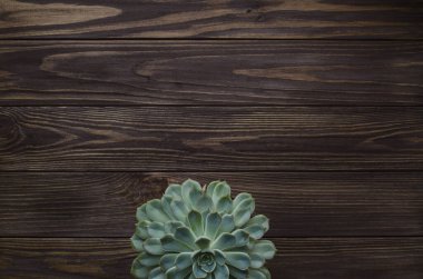 Ahşap arka planda sulu bir şey. Doğal kahverengi ahşap.