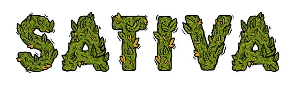 Inscrição de ervas daninhas design lettering "SATIVA " — Vetor de Stock