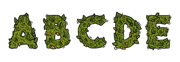 Alguna parte de las letras decorativas de marihuana verde — Vector de stock