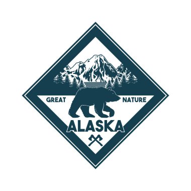 Alaska 'da vahşi ayı rozeti