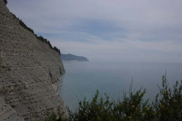 La naturaleza del sur de Rusia en el verano. Región de Krasnodar. Gelendzhik. 10.05.2016 — Foto de Stock